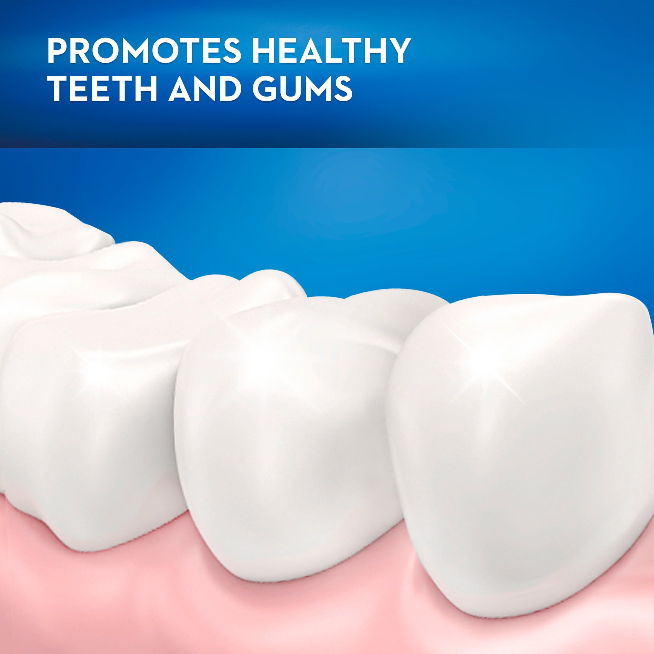 (2 pack) Toothbrush Pack, Essential Clean Manual Toothbrushes, Medium Bristles, 6 Count